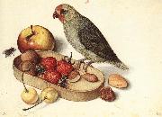 FLEGEL, Georg Still-Life with Pygmy Parrot dfg oil painting artist